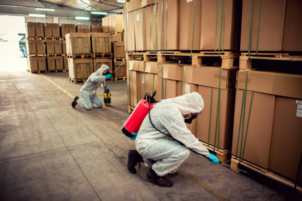 Best Pest Removal Services  in Great River, NY