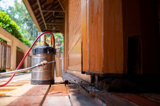 Best Best Pest Control Companies  in Great River, NY