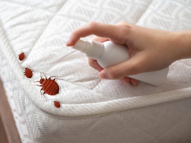 Best Best Pest Control Companies  in Great River, NY