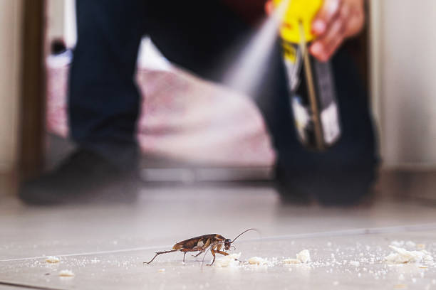 Best Pest Removal Services  in Great River, NY