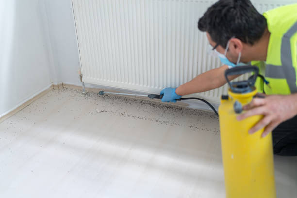 Best Bed Bug Extermination  in Great River, NY